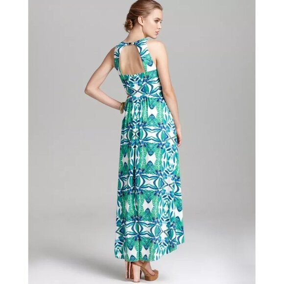 Cynthia Steffe Sydney Printed Dress Floral Maxi Summer Women's Size 12 New NWT - Picture 3 of 10